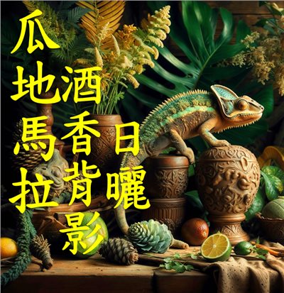 (2024) 獵豆工坊 中美洲 瓜地馬拉 新東方產區 酒香背影 酒香日曬處理法 咖啡生豆