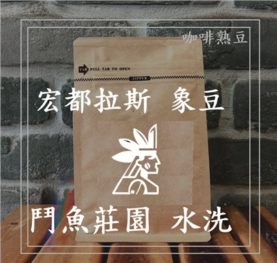 (咖啡熟豆) 獵豆工坊🐆   (淺烘焙) 宏都拉斯 鬥魚莊園 象豆 水洗   225g/450g
