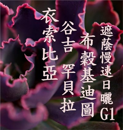 (2024) 獵豆工坊 衣索比亞 日曬 古吉 罕貝拉 布穀 迪基圖 遮蔭慢速乾燥 G1   咖啡生豆