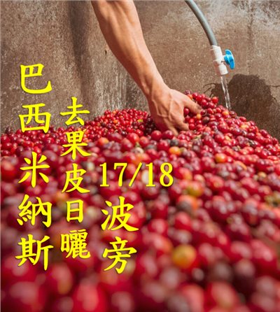 (2024) 獵豆工坊 衣索比亞 日曬 古吉 罕貝拉 布穀 迪基圖 遮蔭慢速乾燥 G1   咖啡生豆 -複製