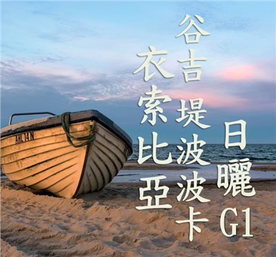 (2024) 獵豆工坊 衣索比亞 谷吉 烏拉嘎 提波波卡 日曬G1  咖啡生豆 