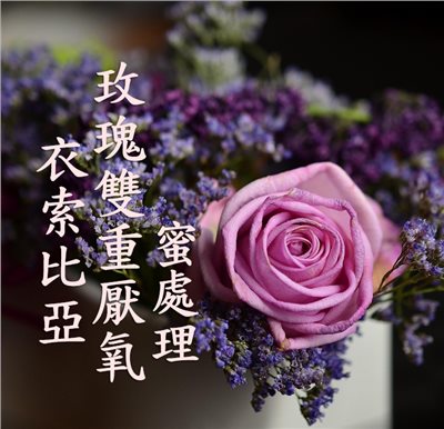 (2025)  獵豆工坊 衣索比亞 希達瑪 玫瑰雙重厭氧蜜處理 G1     咖啡生豆