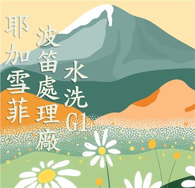 (2025) 獵豆工坊🐆 衣索比亞 耶加雪菲 科契爾  波笛處理廠 水洗g1 咖啡生豆
