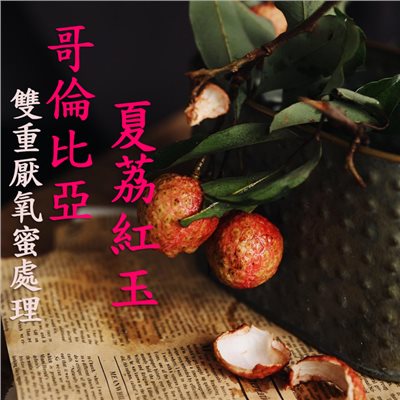 (2025) 獵豆工坊 哥倫比亞 瑪格麗特 夏荔紅玉 雙重厭氧蜜處理 咖啡生豆