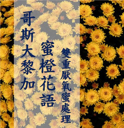 (2025) 獵豆工坊 哥斯大黎加 塔拉珠 蜜橙花語 雙重厭氧蜜處理 咖啡生豆 