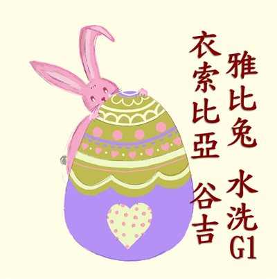 (24/25)  獵豆工坊  衣索比亞 水洗 古吉 烏拉嘎 雅比兔 G1   咖啡生豆 