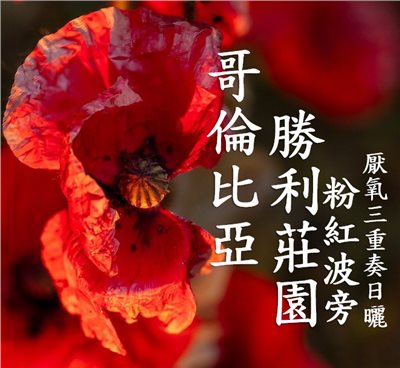 (2025) 獵豆工坊 哥倫比亞 薇拉 勝利莊園 粉紅波旁 厭氧三重奏日曬   咖啡生豆