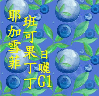 (2025)  獵豆工坊 衣索比亞 耶加雪菲 潔蒂普鎮 班可果丁丁村 日曬 G1   咖啡生豆 
