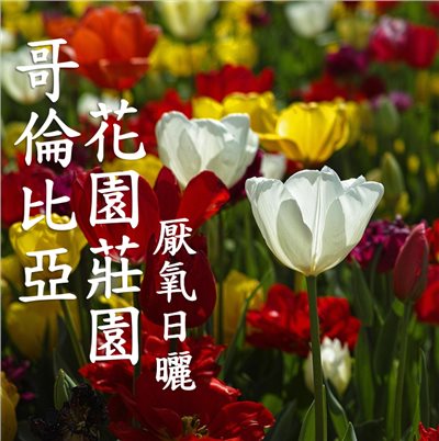 (2025) 獵豆工坊 哥倫比亞 托利馬 花園莊園 厭氧日曬  咖啡生豆 
