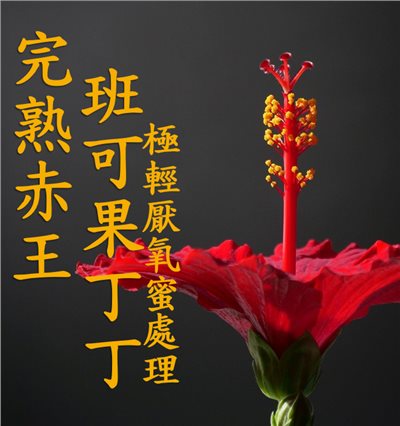 (2025)  獵豆工坊 衣索比亞 耶加雪菲 班可果丁丁完熟赤王 極輕厭氧蜜處理G1  咖啡生豆