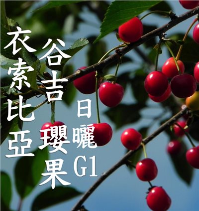 (2025)  獵豆工坊衣索比亞 谷吉 罕貝拉 瓔果 日曬G1  咖啡生豆 