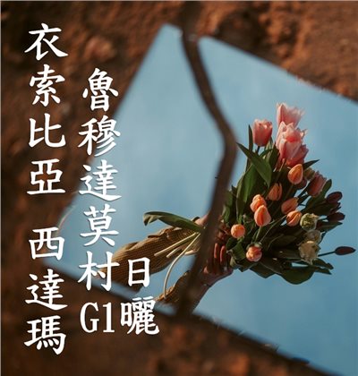 (2025)  獵豆工坊  衣索比亞 西達瑪 魯穆達莫村 Elias Kare 單一小農 日曬G1  咖啡生豆 