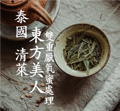 (2025)  獵豆工坊  泰國 清萊 東方美人 雙重厭氧蜜處理 咖啡生豆 