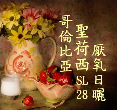 (2025) 獵豆工坊 哥倫比亞 卡爾達斯 聖荷西 SL28 厭氧日曬   咖啡生豆 