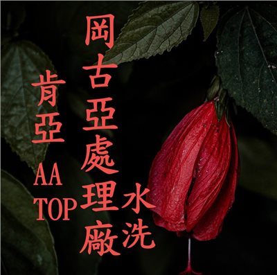(2025) 獵豆工坊 肯亞 岡古亞處理廠 SL28, Ruiru11 AA TOP 水洗 咖啡生豆 
