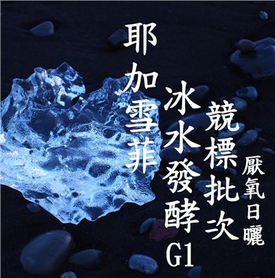 (2025)  獵豆工坊 耶加雪菲 班可萊麗莎村 競標批次 冰水發酵 厭氧日曬 G1  咖啡生豆 