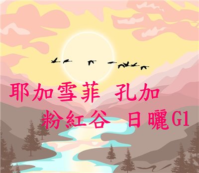(2025)  獵豆工坊 衣索比亞 耶加雪菲 孔加 粉紅谷 日曬g1    咖啡生豆 