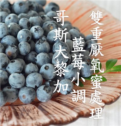 (2025)  獵豆工坊 哥斯大黎加 塔拉珠 藍莓小調 雙重厭氧蜜處理  咖啡生豆 