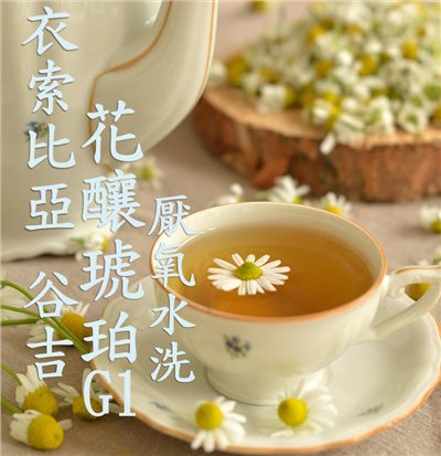 (2025)  獵豆工坊衣索比亞 谷吉 烏拉嘎鎮 花釀琥珀 厭氧水洗 G1   咖啡生豆 