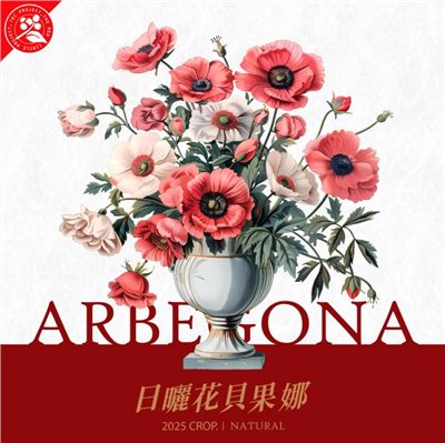 (2025)  獵豆工坊 衣索比亞 西達摩  花貝果娜 甜雪莉 日曬 TOP G1  咖啡生豆 
