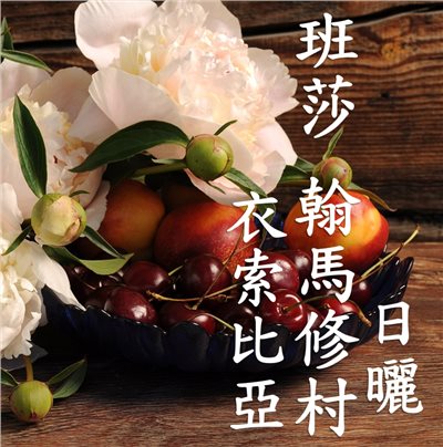 (2025)  獵豆工坊 衣索比亞 西達馬 班莎鎮 翰馬修村 日曬 G1   咖啡生豆 