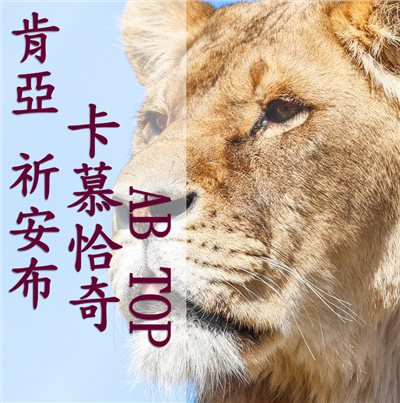 (2025)  獵豆工坊 肯亞 祈安布 卡慕恰奇處理場 AB TOP (SL28、SL34)  咖啡生豆 