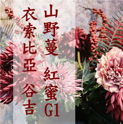(2025)  獵豆工坊 衣索比亞 谷吉 山野蔓 紅蜜 g1    咖啡生豆 