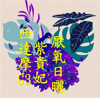 (2025)  獵豆工坊衣索比亞 西達摩 紫貴妃 G3 厭氧日曬 咖啡生豆    咖啡生豆 