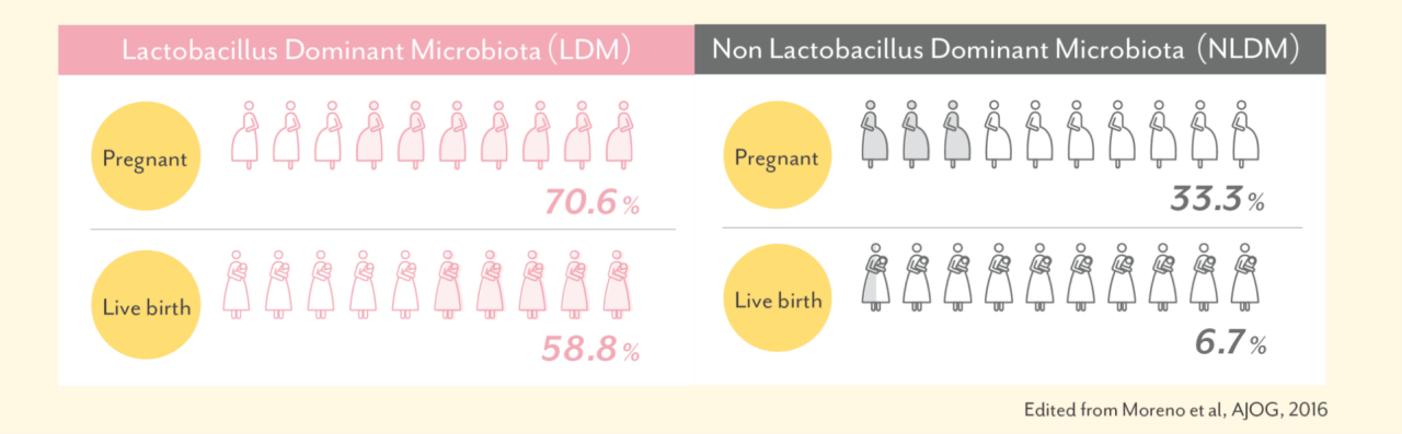 子宮內膜微生物群和懷孕結果