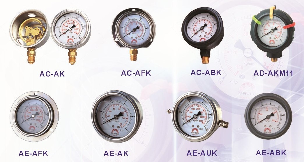 Steam Liquid Filled Pressure Gauge