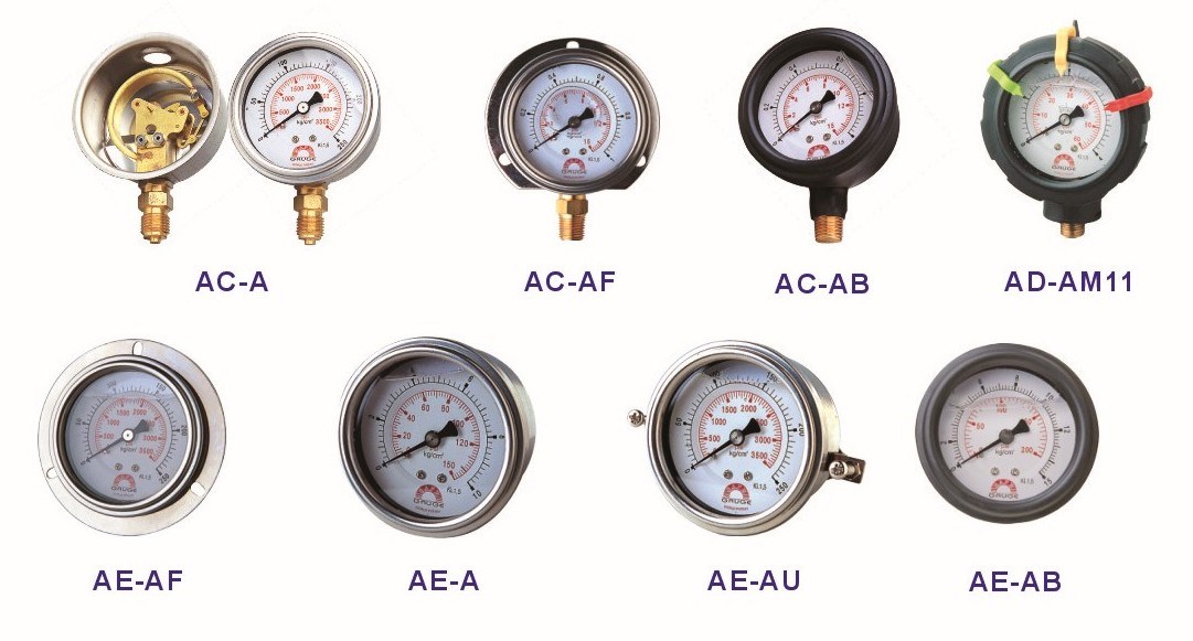 Liquid Filled Pressure Gauge Model 2