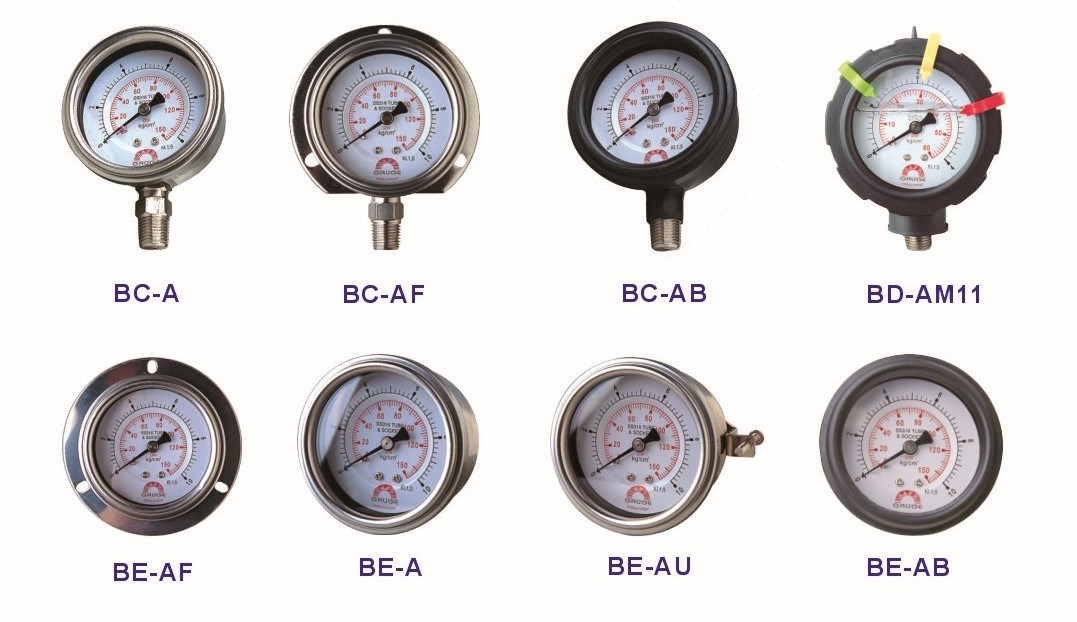 Stainless Steel Pressure Gauge BE Series